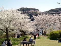 長崎県立西海橋公園