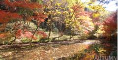 ロングすべり台のある神奈川県の公園10選