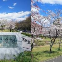 名古屋市平和公園 の写真 (2)