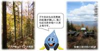 水源地ふれあいのみち　柳沢峠ゾーン　〜ブナのみち〜 の写真 (1)