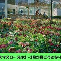 水戸市植物公園 の写真 (2)