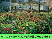 水戸市植物公園 の写真 (2)