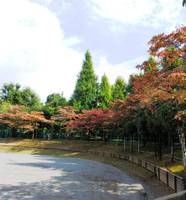 北新宿公園 の写真 (2)