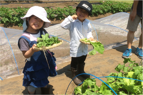 ベジq柏あけぼの山農業公園 子連れのおでかけ 子どもの遊び場探しならコモリブ