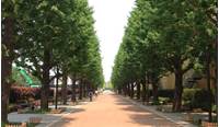 昭和の森ガーデン カフェアンドバーベキュー （CAFE&BBQ） の写真