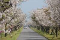 串良平和公園（くしらへいわこうえん） の写真 (2)