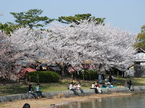 洲原公園 すはらこうえん 子連れのおでかけ 子どもの遊び場探しならコモリブ 洲原公園 すはらこうえん 子連れのおでかけ 子どもの遊び場探しならコモリブ