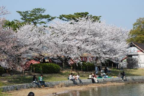 洲原公園 すはらこうえん 子連れのおでかけ 子どもの遊び場探しならコモリブ