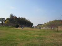 神崎緑地公園 の写真
