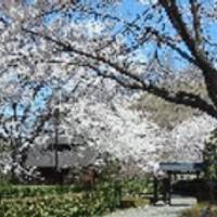 桜山森林公園 の写真 (2)