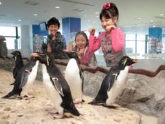 関西のおすすめ水族館10選！子供がよろこぶイベントも