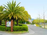 大倉山公園 の写真