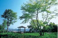 松森城跡 の写真 (1)