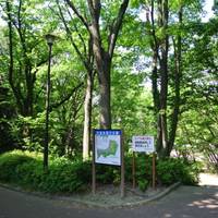万福寺桧山公園　（まんぷくじひのきやまこうえん） の写真