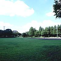 青葉台公園
