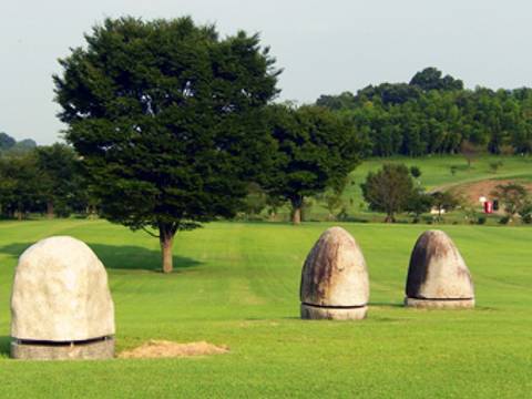 室 公園 大 大蓮公園（おおはすこうえん） 堺市