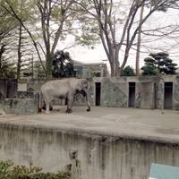 井の頭自然文化園 の写真 (3)
