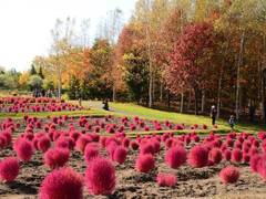 札幌周辺のレジャースポット・公園10選。自然に触れる1日に！
