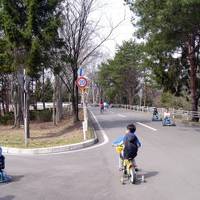 岩手県営運動公園 交通公園 の写真 (3)