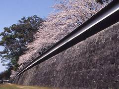 熊本城