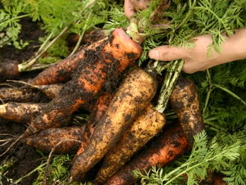 富士宮市の子連れランチおすすめ10選 個室ならのんびりお食事できちゃう 子連れのおでかけ 子どもの遊び場探しならコモリブ 富士宮市の子連れランチおすすめ10選 個室ならのんびりお食事できちゃう 子連れのおでかけ 子どもの遊び場探しならコモリブ