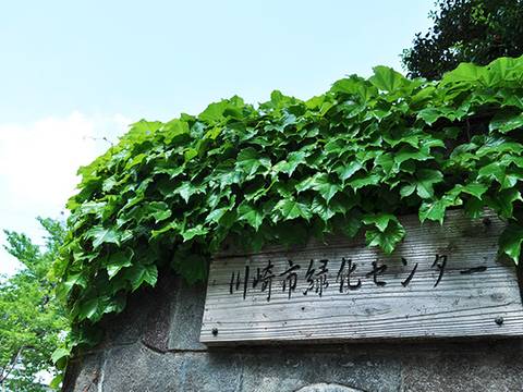 川崎市緑化センター 子連れのおでかけ 子どもの遊び場探しならコモリブ 川崎市緑化センター 子連れのおでかけ 子どもの遊び場探しならコモリブ