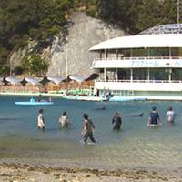 下田海中水族館 の写真 (3)