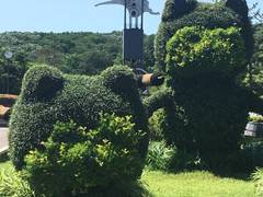 埼玉県こども動物自然公園