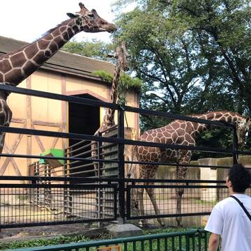 東京都内のふれあい動物がある場所14選 モルモットやうさぎなどに餌やりができるところも 3 子連れのおでかけ 子どもの遊び場探しならコモリブ