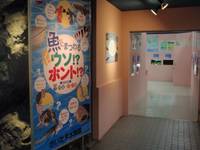 さいたま水族館 の写真 (3)