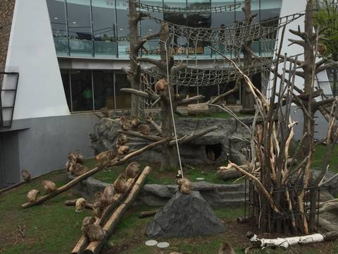 札幌の子連れ観光スポットおすすめ15選 家族旅行の定番から子供が喜ぶ施設まで 子連れのおでかけ 子どもの遊び場探しならコモリブ 札幌の子連れ観光スポットおすすめ15選 家族旅行の定番から子供が喜ぶ施設まで 子連れのおでかけ 子どもの遊び場探しならコモリブ