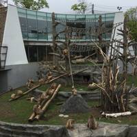 円山動物園 の写真