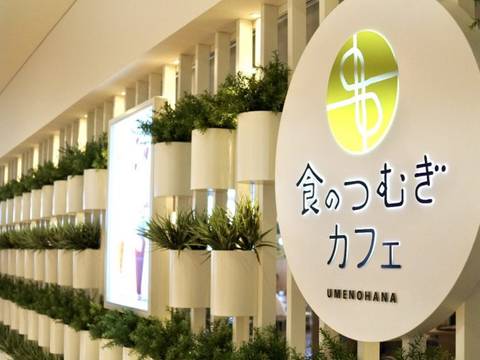 西宮市の子連れ利用できる結婚記念日ランチ10選 個室のあるレストランも 子連れのおでかけ 子どもの遊び場探しならコモリブ 西宮市の子連れ利用できる結婚記念日ランチ10選 個室のあるレストランも 子連れのおでかけ 子どもの遊び場探しならコモリブ