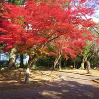 亀山公園 の写真 (3)