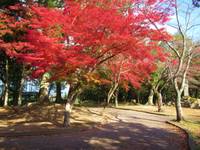 亀山公園 の写真 (3)