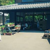 オイモカフェ （OIMO cafe） の写真 (3)