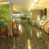 面河山岳博物館 (おもごさんがくはくぶつかん) の写真 (3)