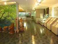 面河山岳博物館 (おもごさんがくはくぶつかん) の写真 (3)