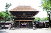 青井阿蘇神社 の写真 (2)
