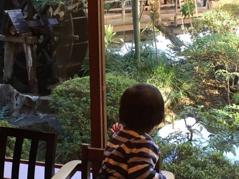 八王子市内の子連れにおすすめする個室付きランチ10選 個室でゆったりくつろげる 子連れのおでかけ 子どもの遊び場探しならコモリブ