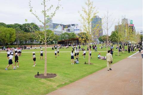 てんしば 子連れのおでかけ 子どもの遊び場探しならコモリブ