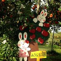 三浦りんご園 の写真