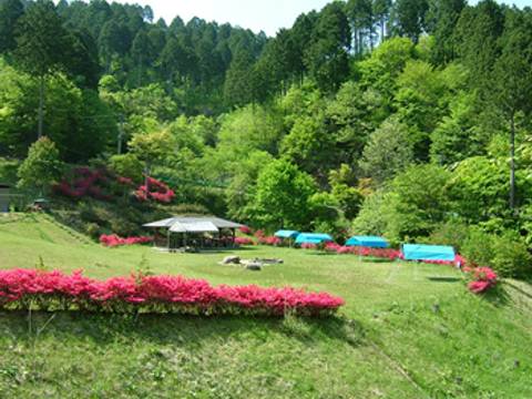 東海地方のおすすめ避暑地15選 夏でも涼しい高原や子供の夏休み中のお出かけや観光にも 子連れのおでかけ 子どもの遊び場探しならコモリブ 東海地方のおすすめ避暑地15選 夏でも涼しい高原や子供の夏休み中のお出かけや観光にも 子連れのおでかけ 子どもの遊び場探しならコモリブ
