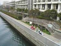 汐浜運河 の写真 (2)