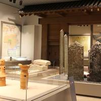 徳島県立博物館 の写真 (3)