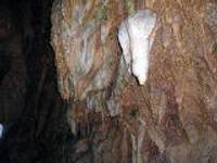 関ヶ原鍾乳洞 の写真 (2)