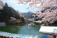 鎌北湖 の写真 (1)
