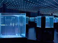 ららぽーとエキスポシティ 子連れのおでかけ 子どもの遊び場探しならコモリブ