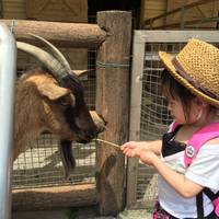 Yuki さんが撮った 浜松市動物園 の写真