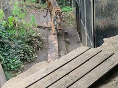 東京都恩賜上野動物園